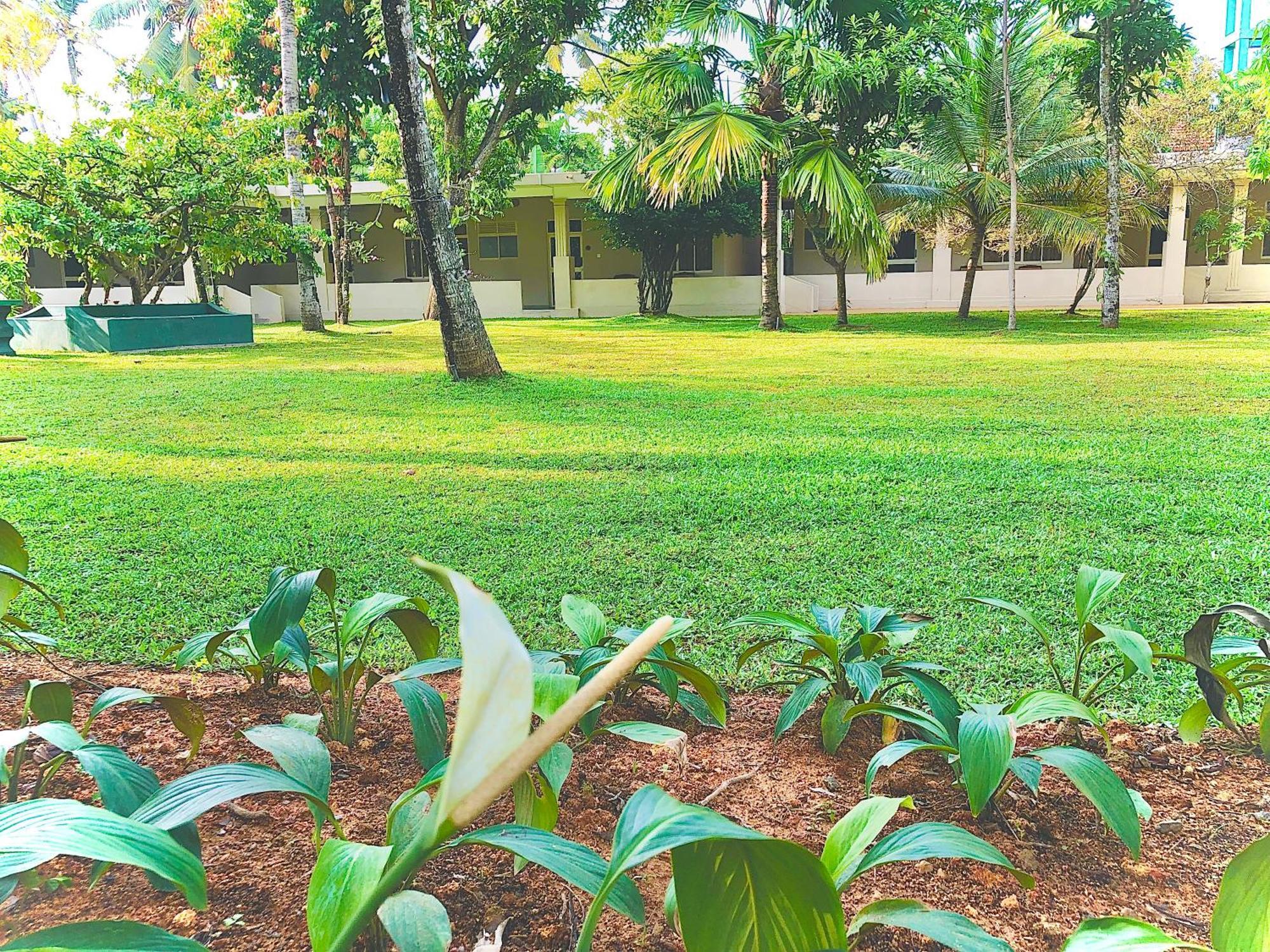Paradise Garden Beruwala Dış mekan fotoğraf