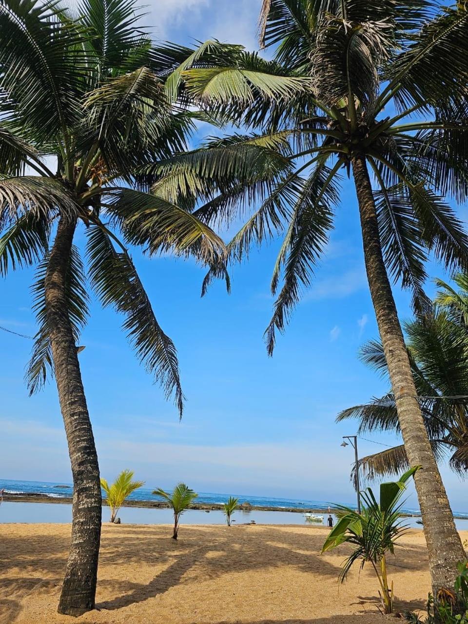 Paradise Garden Beruwala Dış mekan fotoğraf