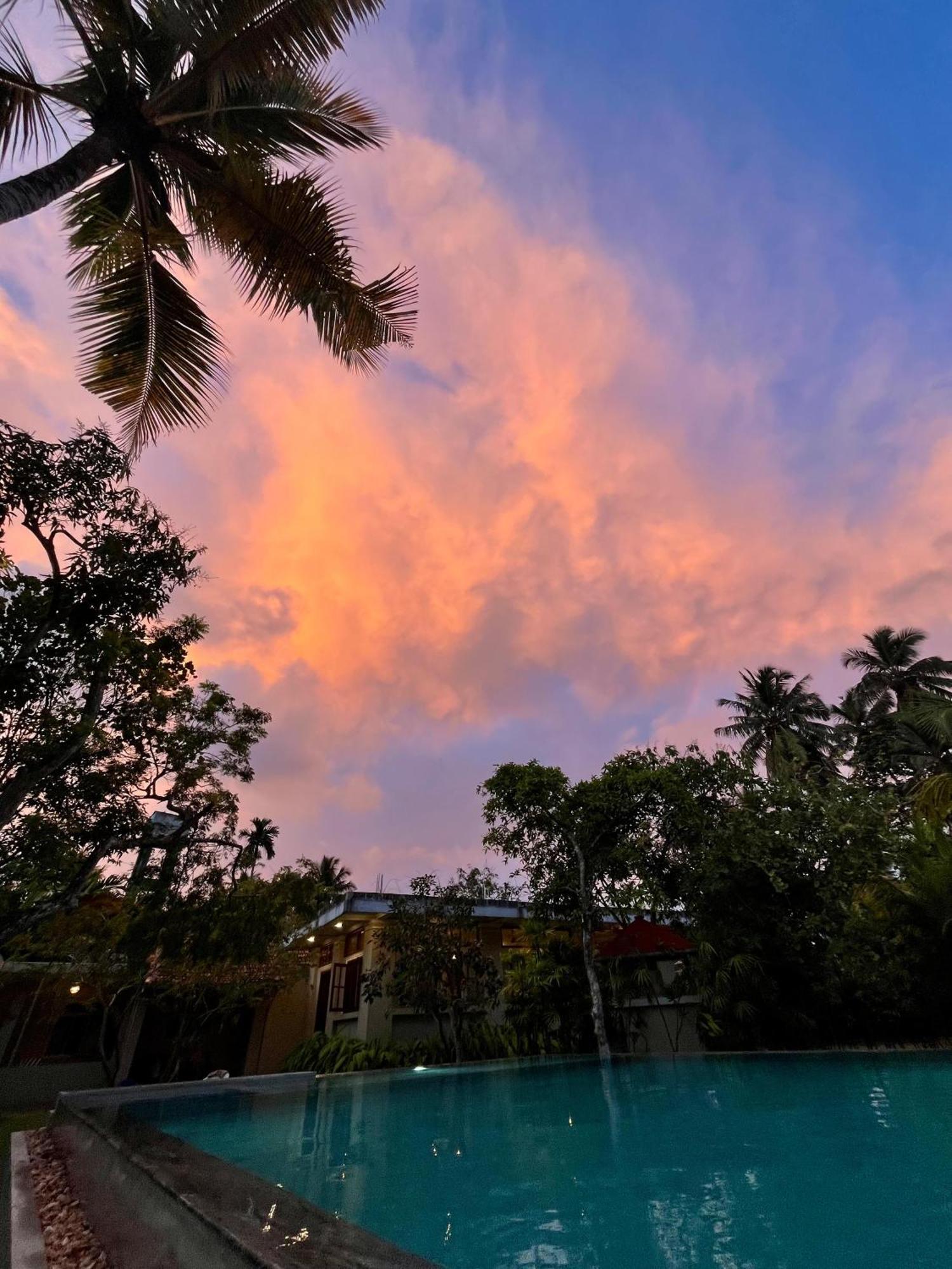 Paradise Garden Beruwala Dış mekan fotoğraf